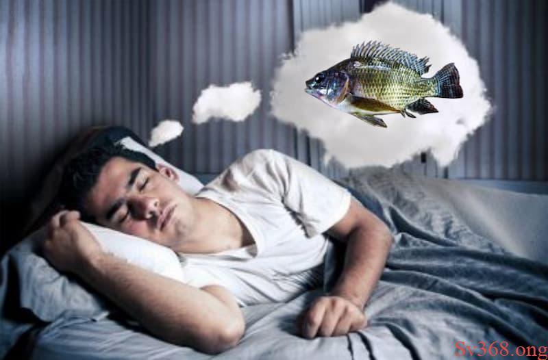 Tại sao chúng ta mơ thấy con cá rô?