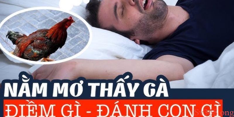 Ý nghĩa khi mơ thấy gà tốt là điềm tốt hay xấu