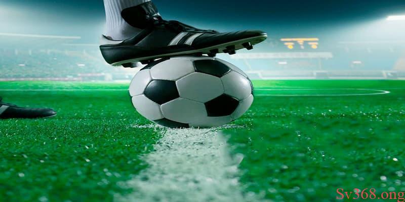 tâm lý khi chơi cá độ bóng đá trực tuyến