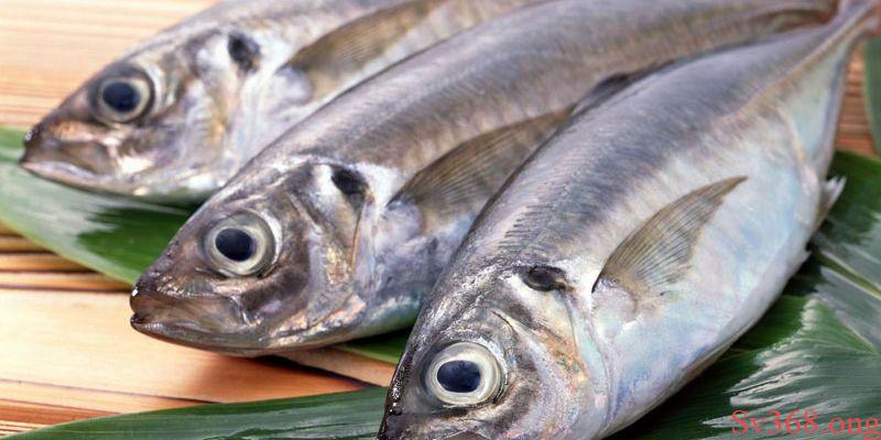 Mơ Thấy Ăn Cá - Tìm Hiểu Các Điềm Báo Đặc Biệt Từ Sv368 5 mơ thấy ăn cá