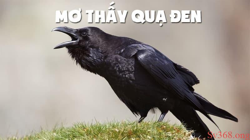 Giải Mã Giấc Mơ Thấy Quạ Đen - Chọn Số Gì Để May Mắn? 8 mơ thấy quạ đen