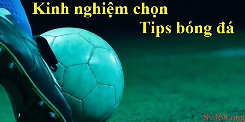 Bật mí những mẹo tham khảo tips hiệu quả
