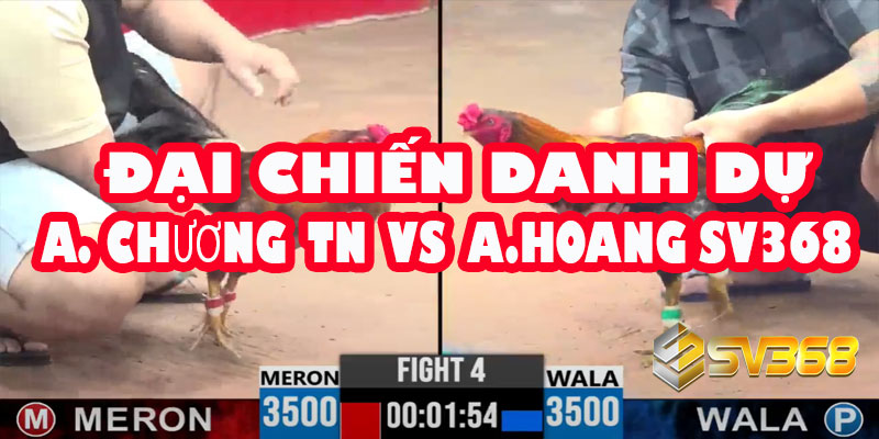 Đại Chiến Danh Dự: A Chương Tây Ninh thách đấu A Hoàng SV368 | Kèo Đồng 30